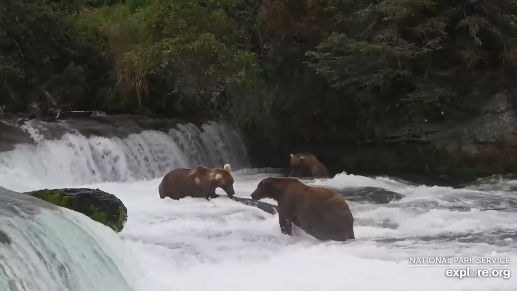 19-Aug-23 Otis Dines at Table Rock | Copyright National Parks Service and/or Explore.org