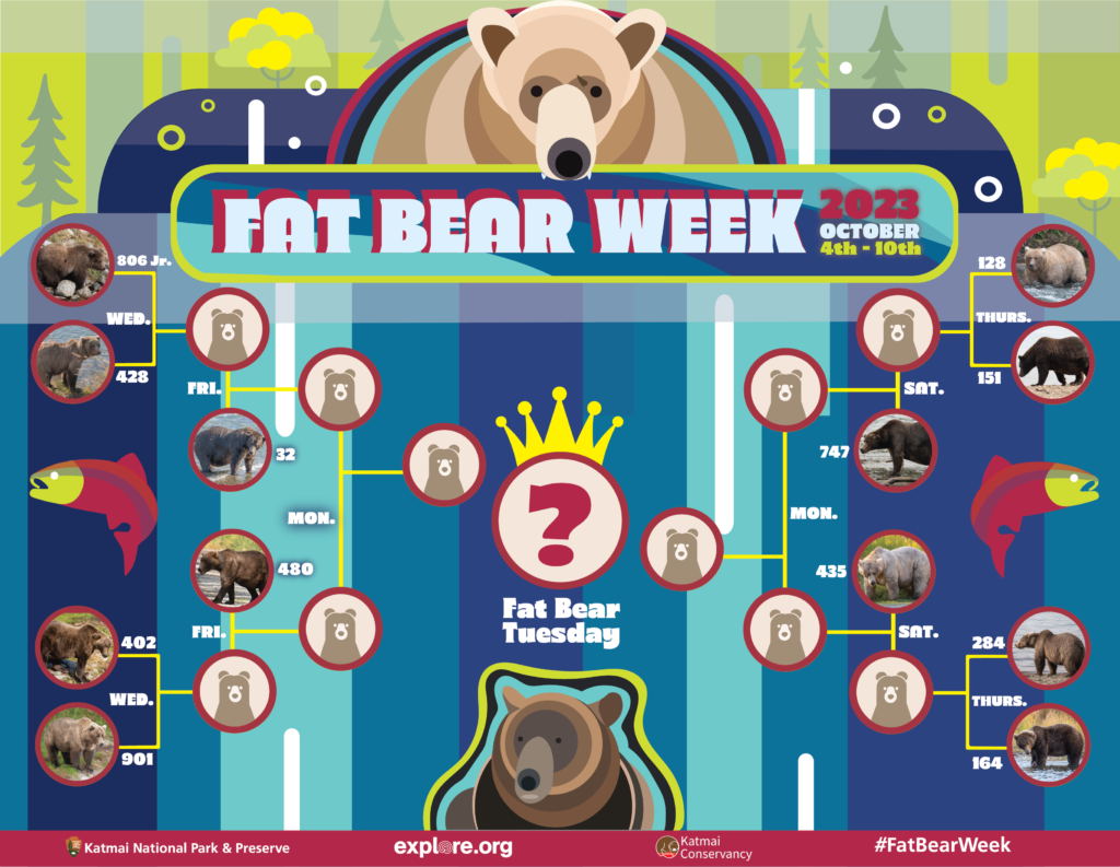 2-Oct-23 Fat Bear Bracket Announced  | Copyright National Parks Service and/or Explore.org