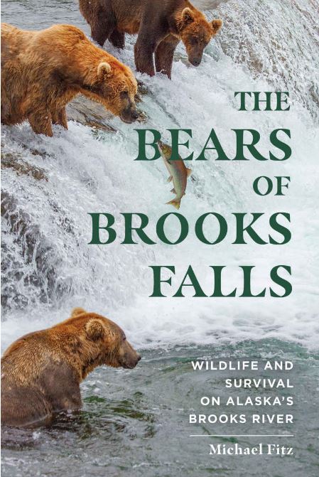 The Bears of Brooks Falls by Michael Fitz | Image Copyright Michael Fitz