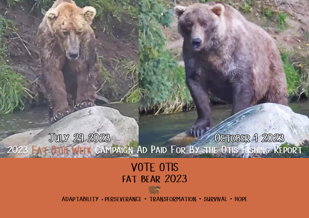 6-Oct-23 Otis Fat Bear Campaign Ad | Copyright National Parks Service and/or Explore.org